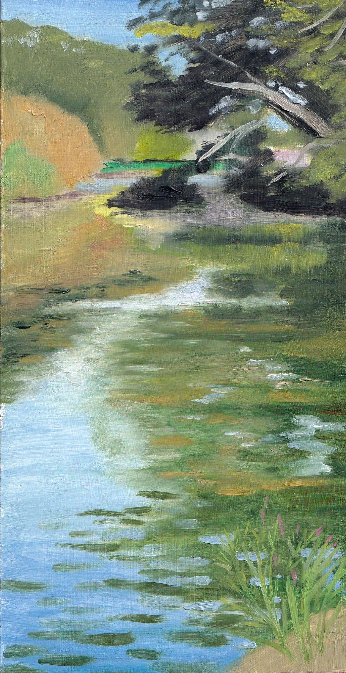 Stowe Lake Sliver