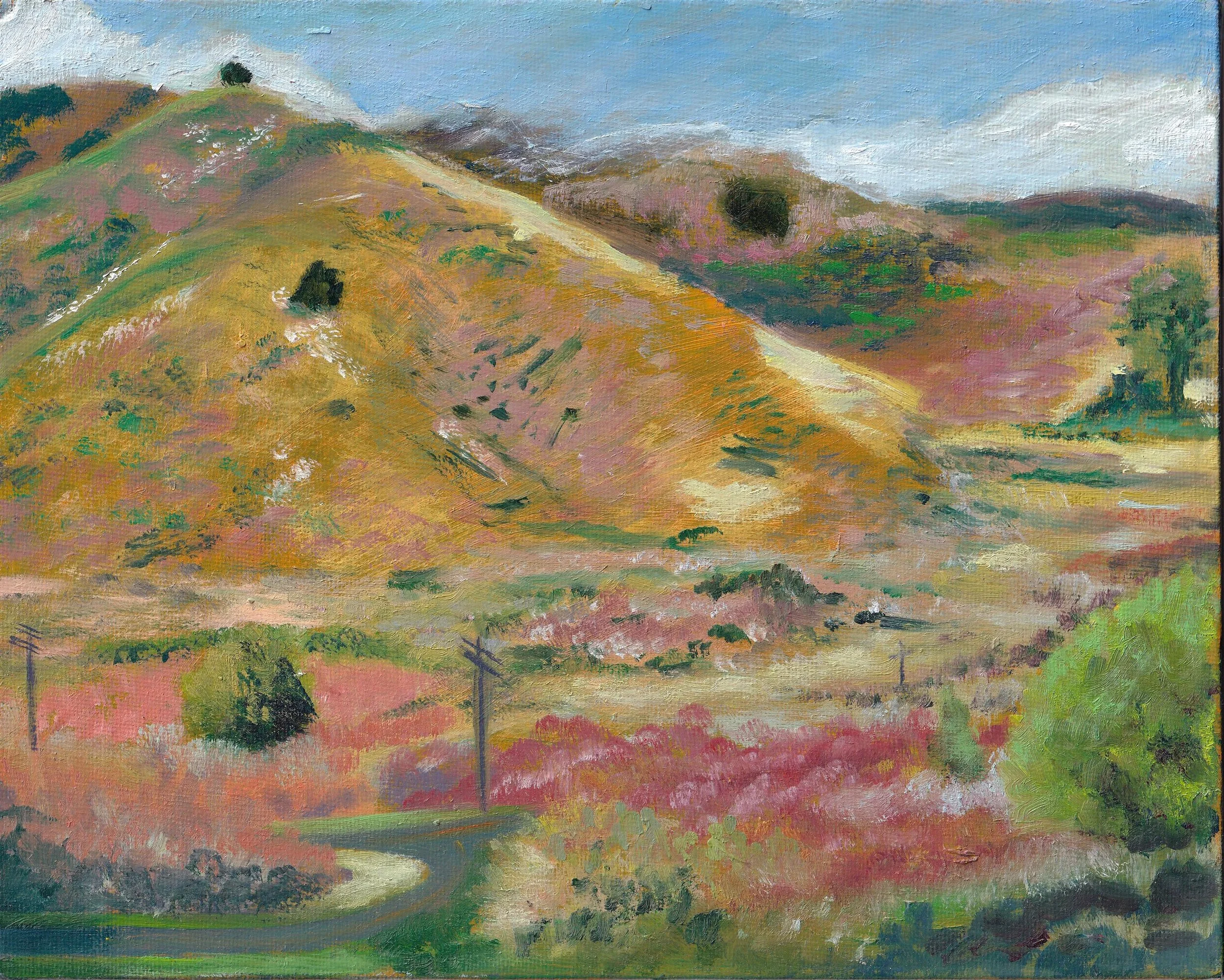 Headlands Hills in the Summertime