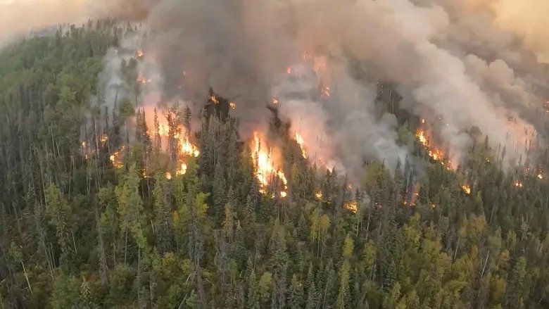 2023 Sets Wildfire Records