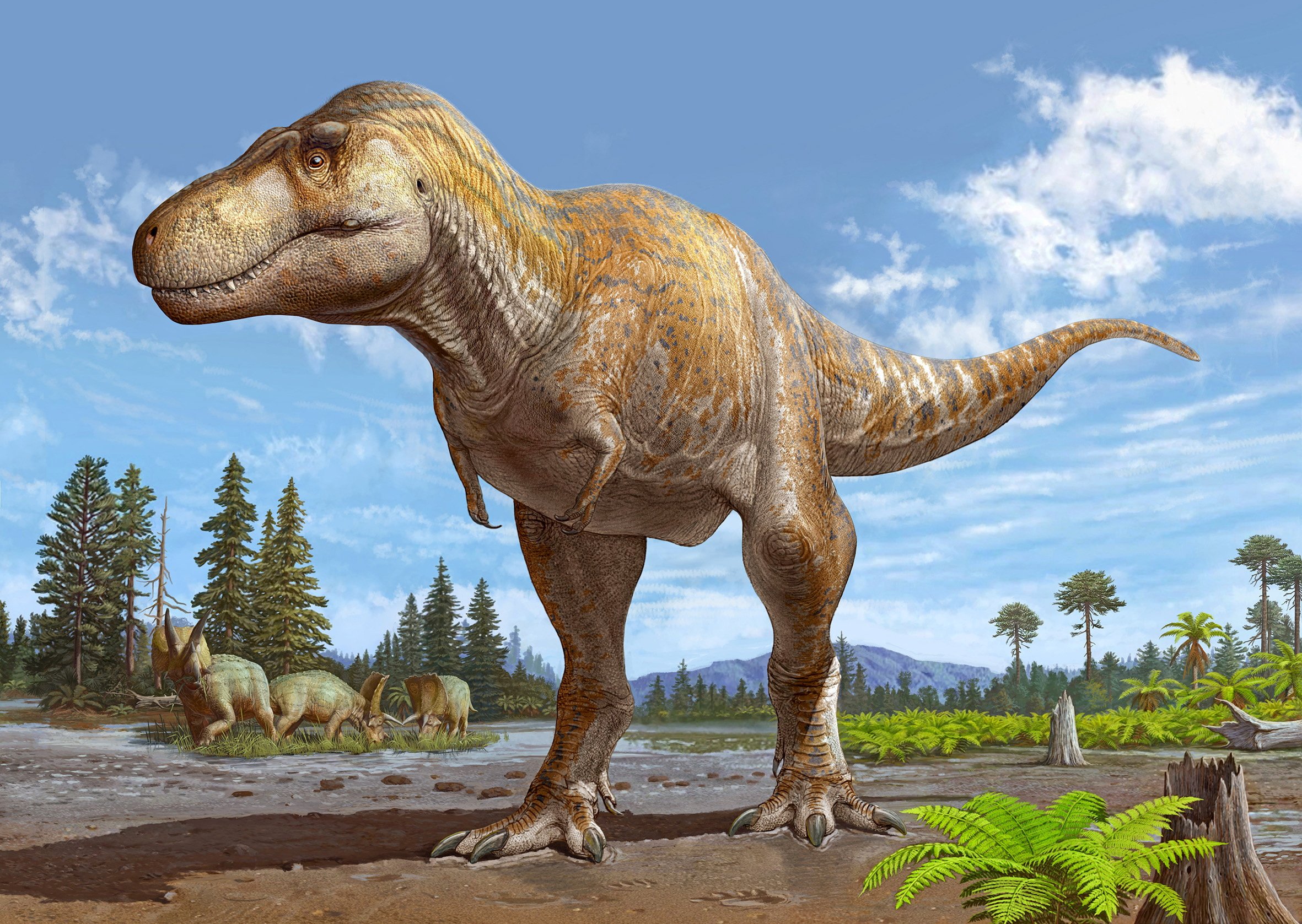 Older Tyrannosaurus Species Discovered