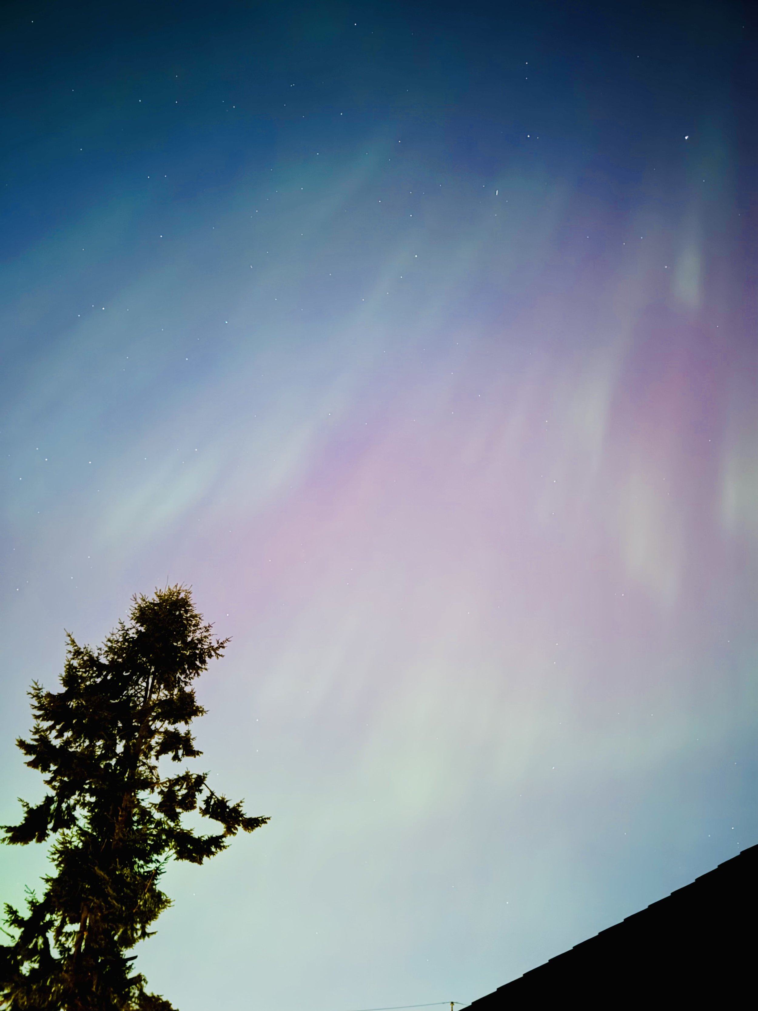 Students’ Mystic Nights With The Northern Lights