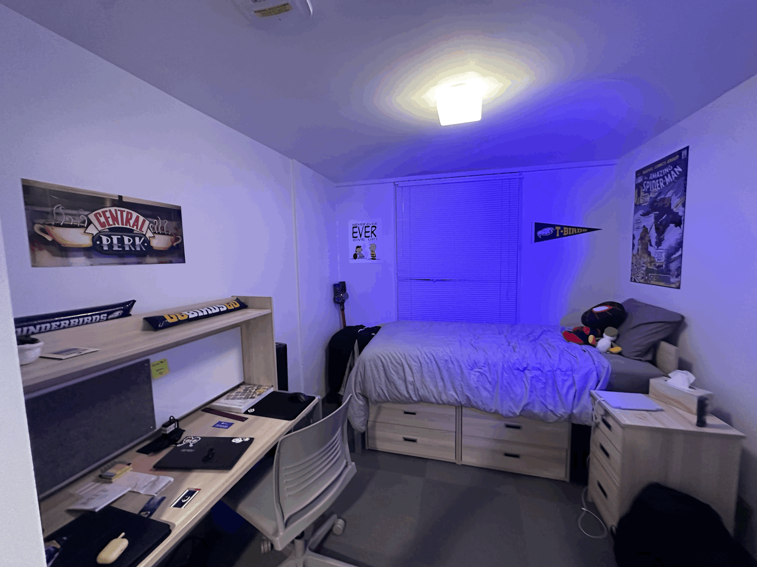 Dorm Diaries: College Room Essentials