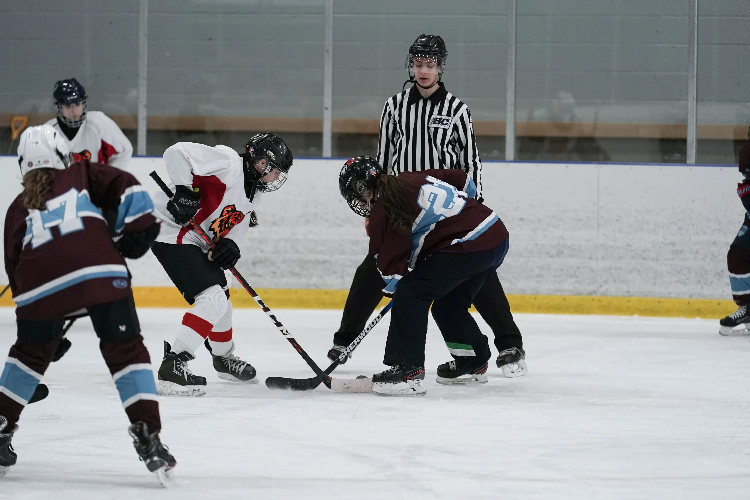 Hamber's Girls Ice Hockey Team Dominates Season