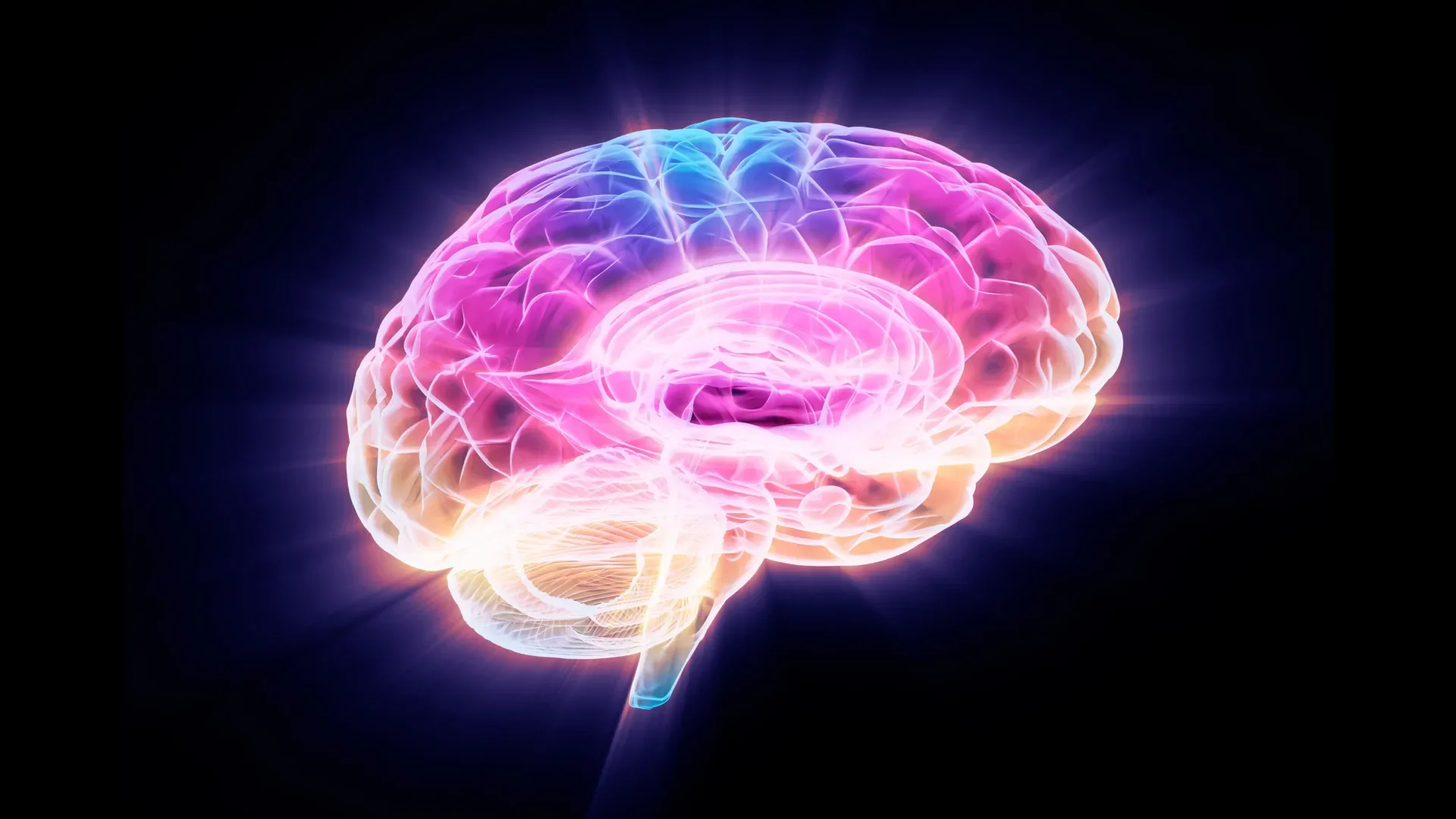 Canadian Scientists Discover a Potential Cure for Memory Loss by Increasing Cell Activity