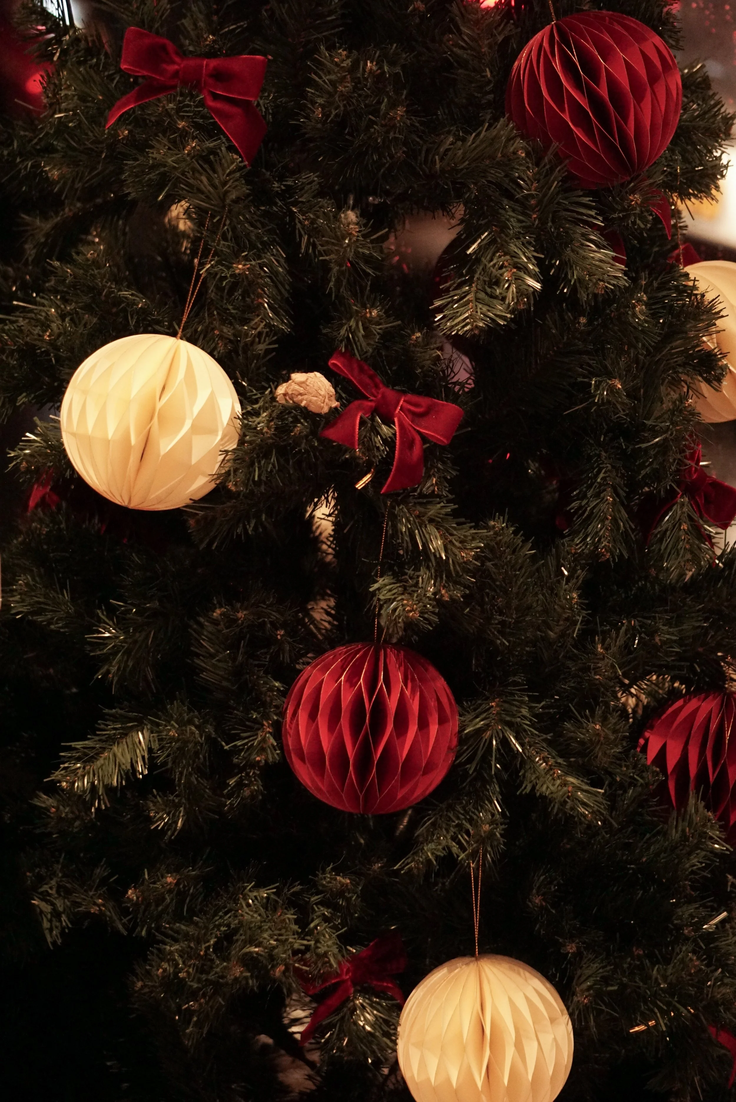 Ashland wellness collective Christmas market 