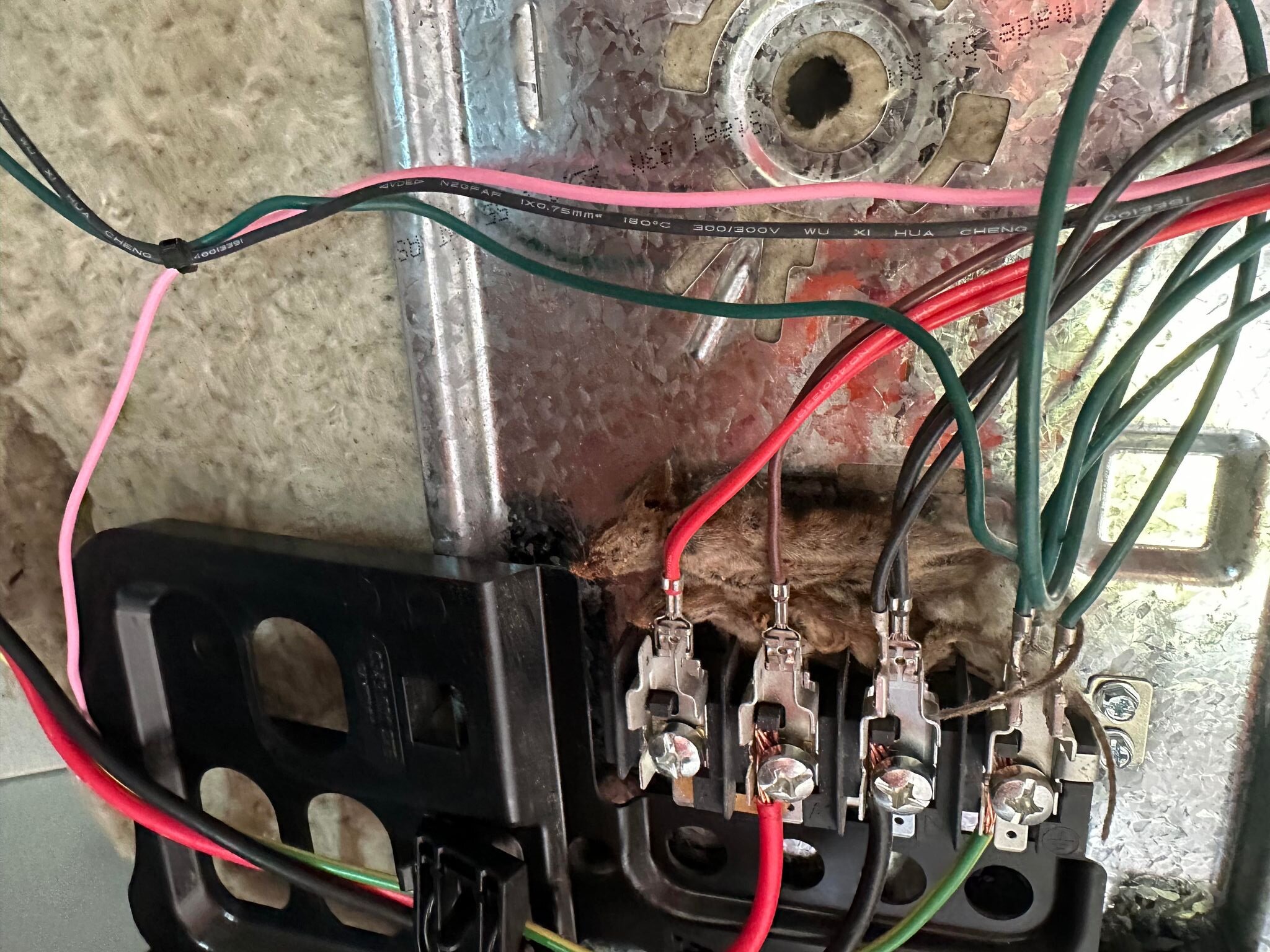 A routine disconnect turned out to be a bit of a pest!
#electrician #switchboard #mousetrap #surprise #whatsthatsmell