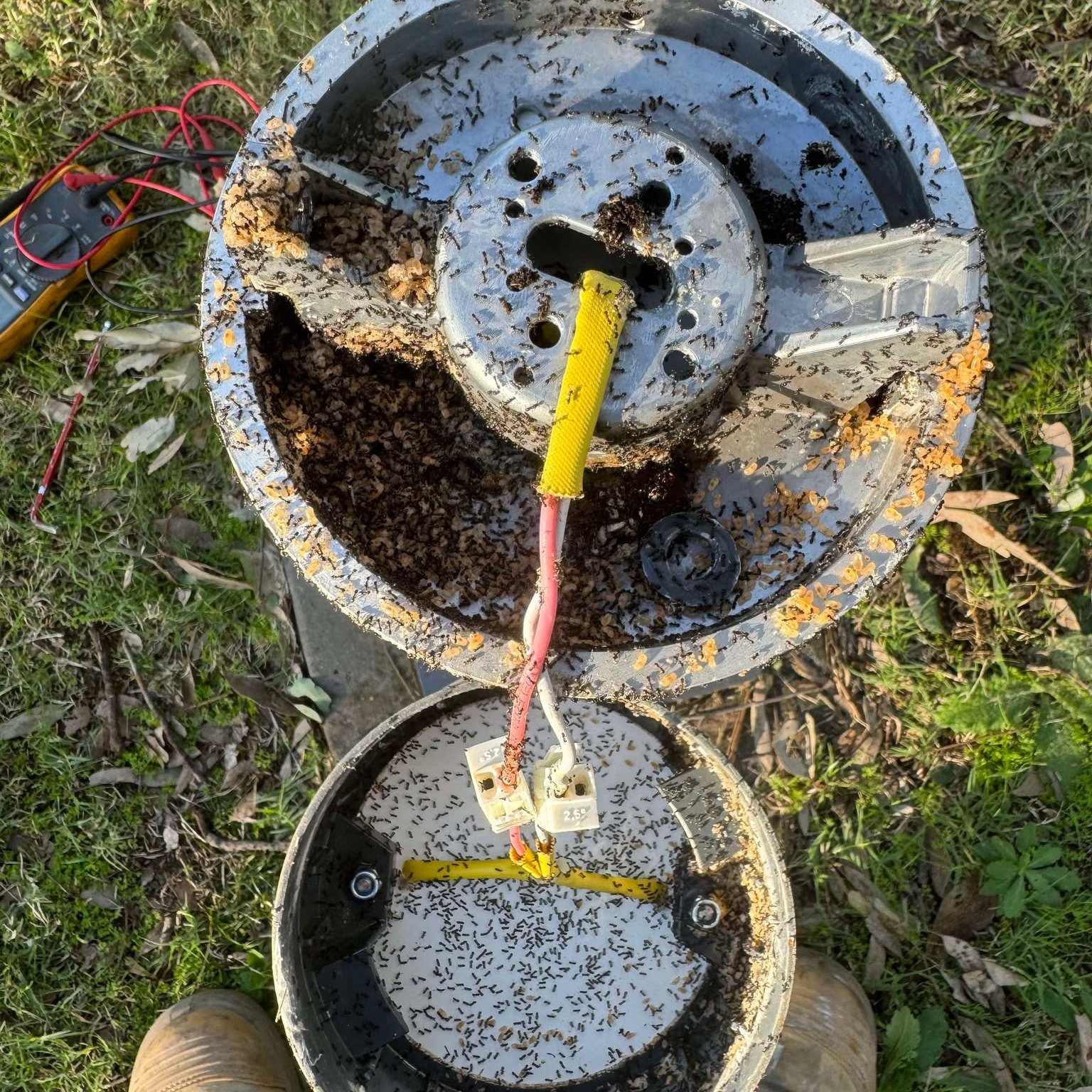This is your friendly reminder to check your enclosures, seal your fittings, and maybe bring some bug spray along with your tester.

Because nothing says good morning like cracking open a fitting and finding a full-blown ant metropolis.

#Electricall