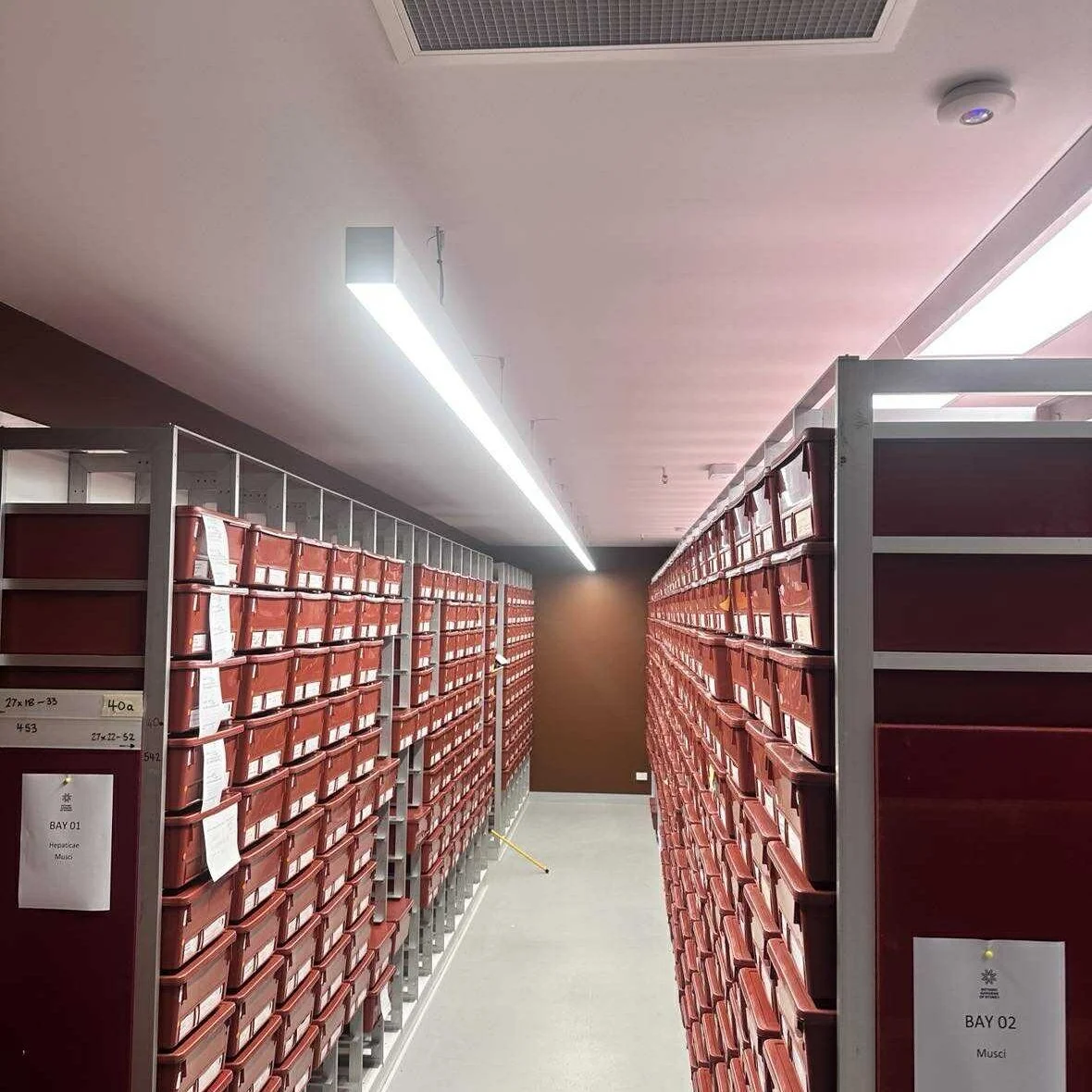 Installation of custome extrusion at Mount Annan Botanic Gardens to improve their lighting and safety expectations.
#botanicgardenmtannan #extrusion #ledlighting