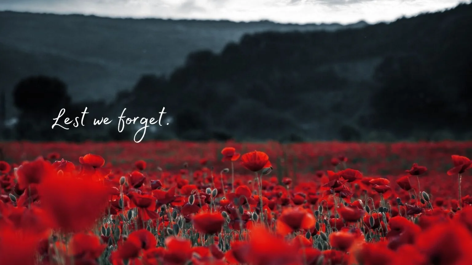 On this Remembrance Day, we honour the brave men and women who served our nation and those who continue to protect it.
Their courage and sacrifice will never be forgotten.
Lest we forget. ❤️