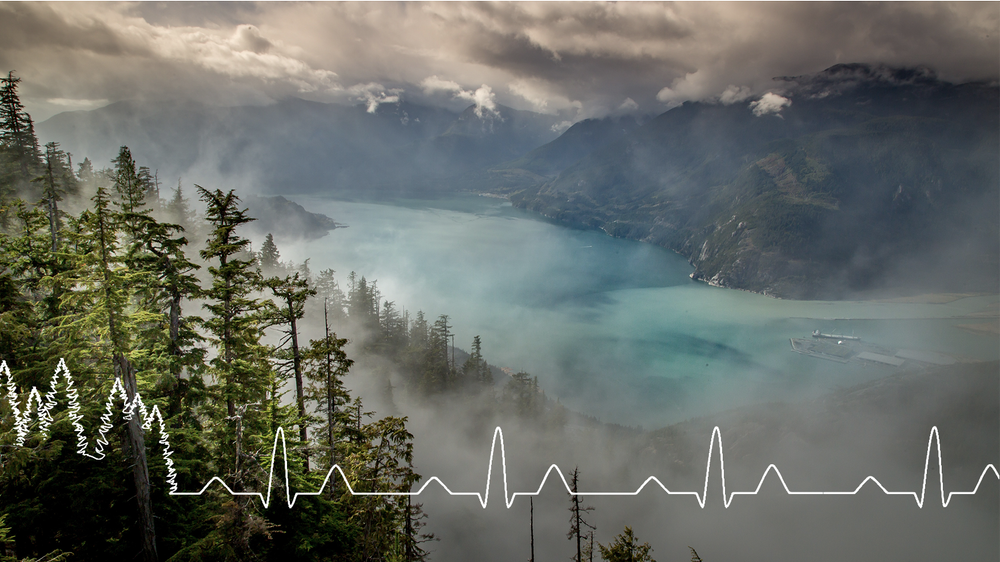 Squamish Hospital Foundation