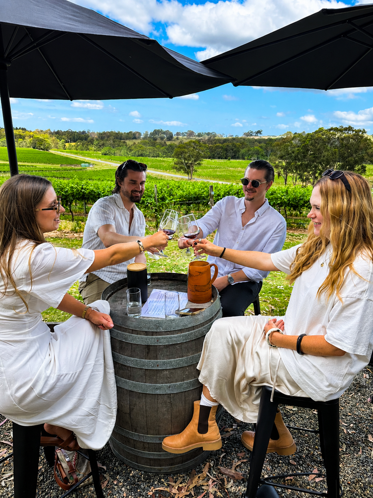 Four guests raising their wine glasses overlooking Hunter Valley vineyards