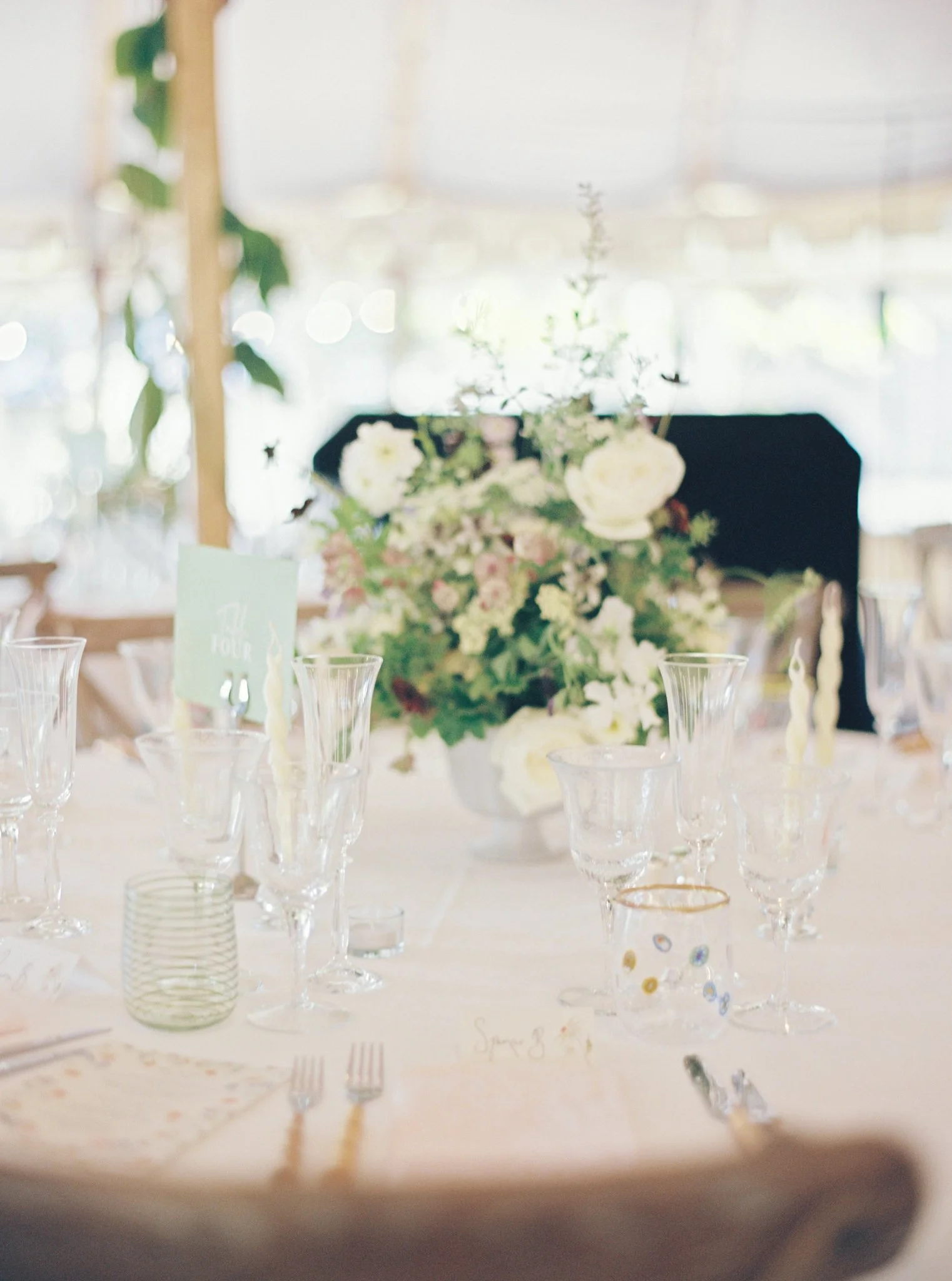 Allie-and-Dan (21).jpg