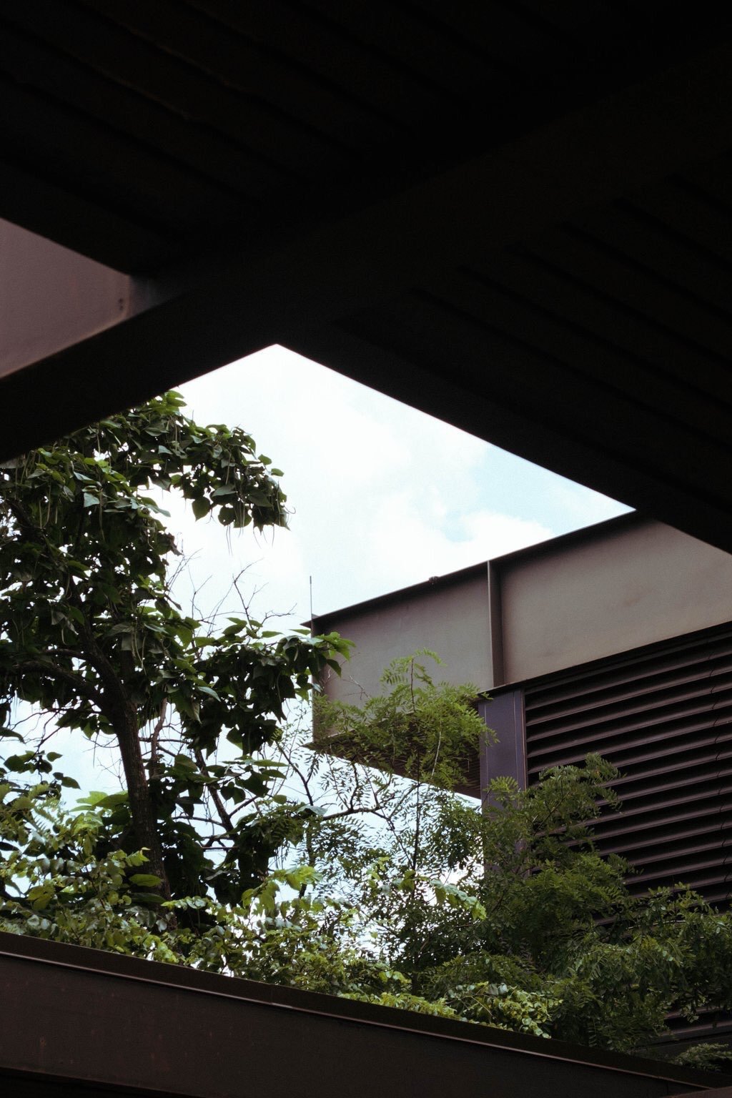 Looking up at trees and modern building with metal siding and louvered vents, seen through a rectangular opening in a dark roof or overhang.