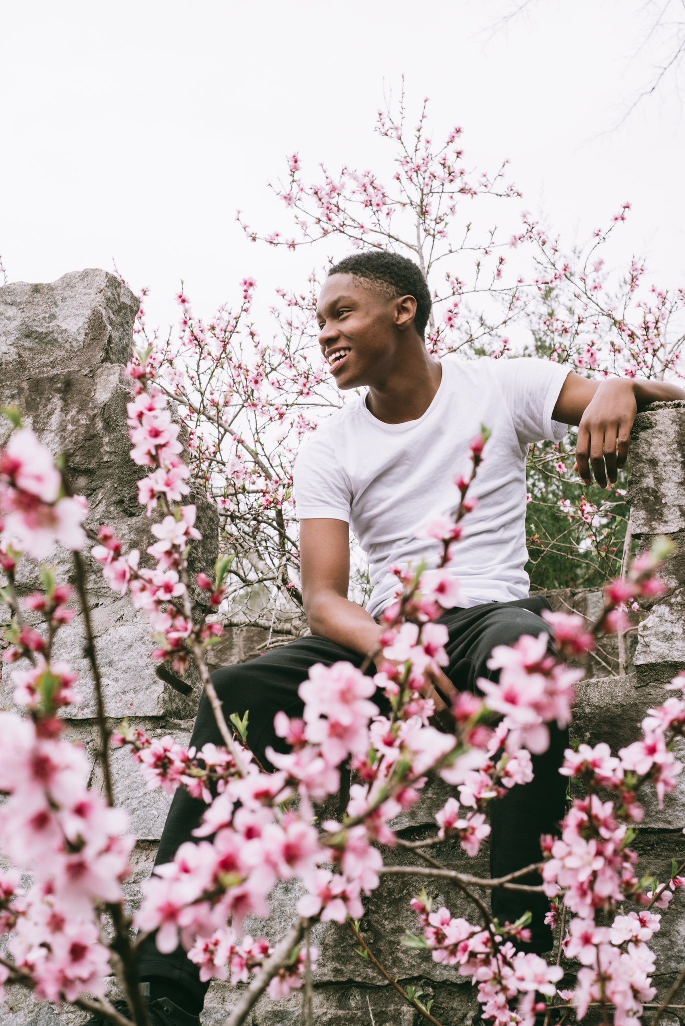 A young man in a white t-shirt and black pants sitting on a stone ledge outdoors surrounded by blooming pink cherry blossoms, smiling and looking to the right.