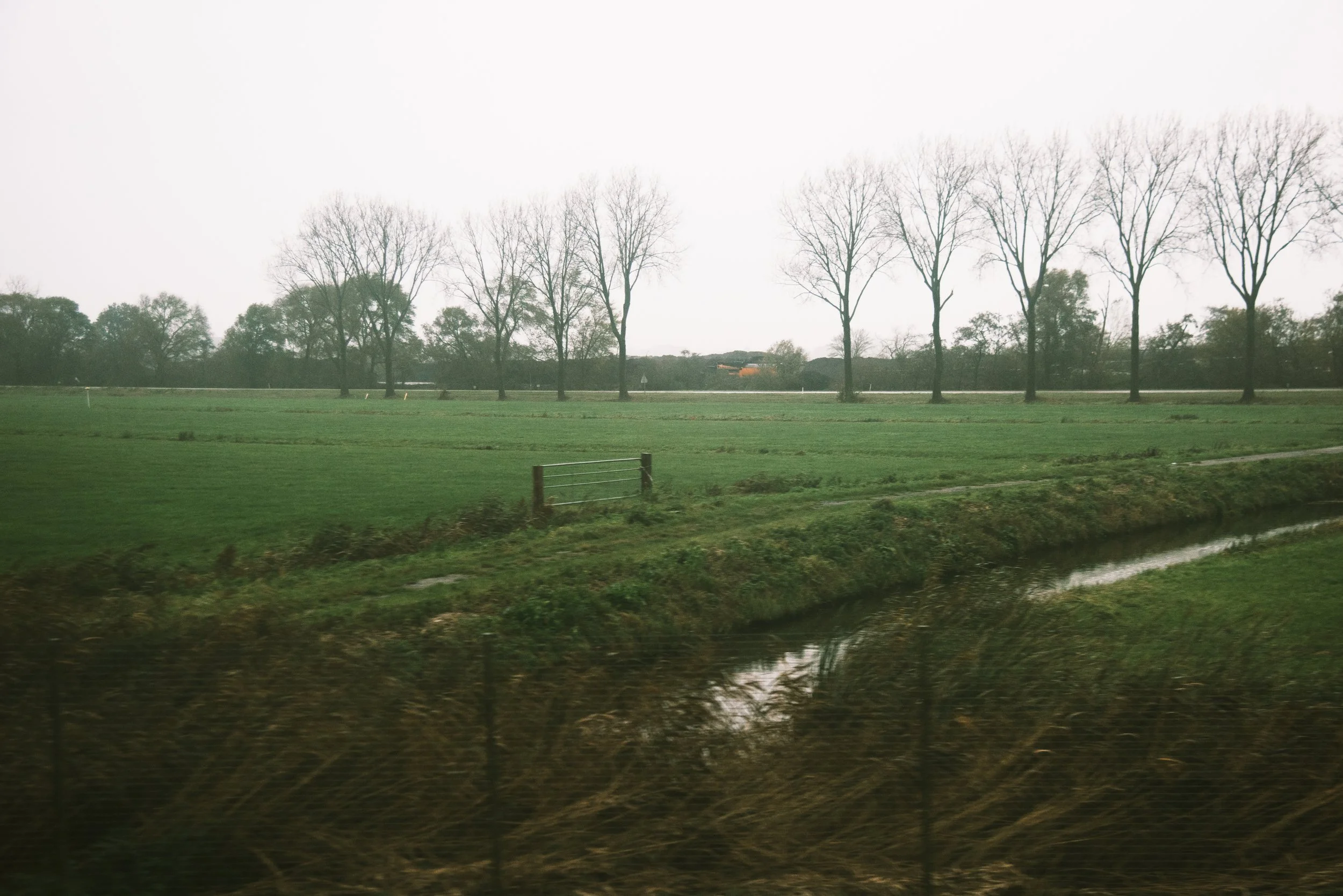Green field with leafless trees lining the horizon and a small water channel in the foreground on an overcast day. Netherlands.
