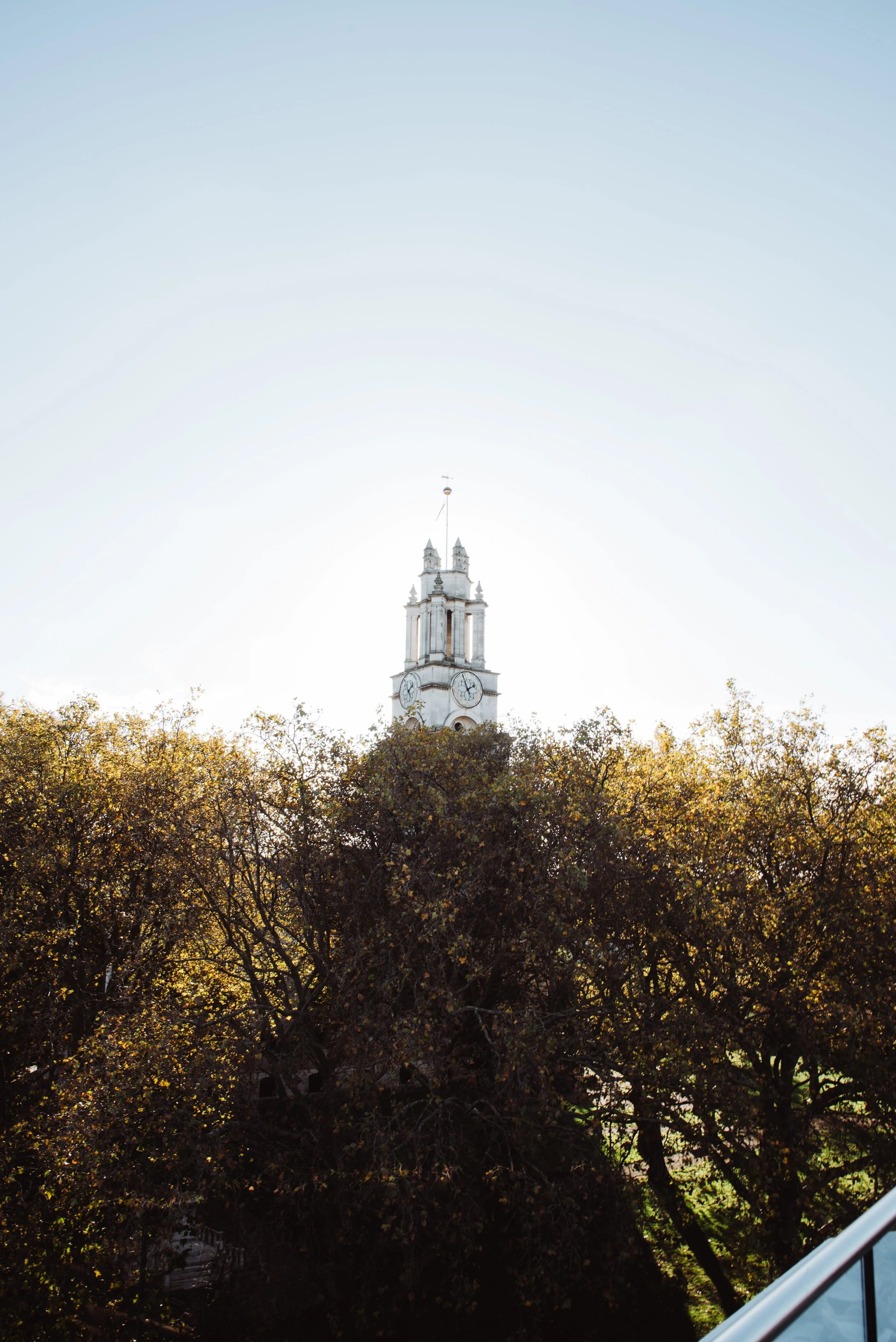 A tall clock tower with a spire above a line of trees with yellow and green leaves, against a pale sky.