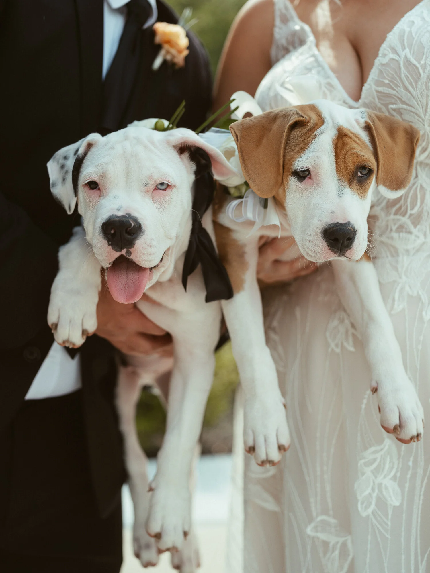 Laurin and Jose, Osage House Covid Remix Wedding