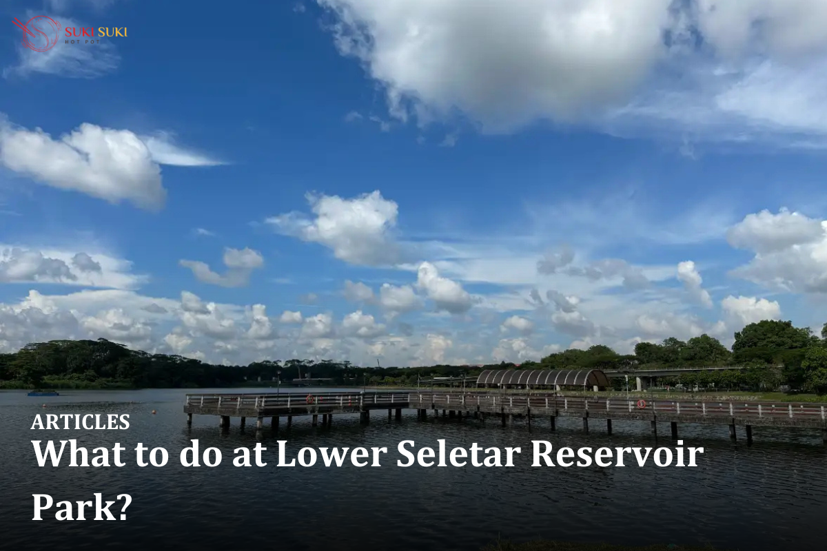 What to do at Lower Seletar Reservoir Park?