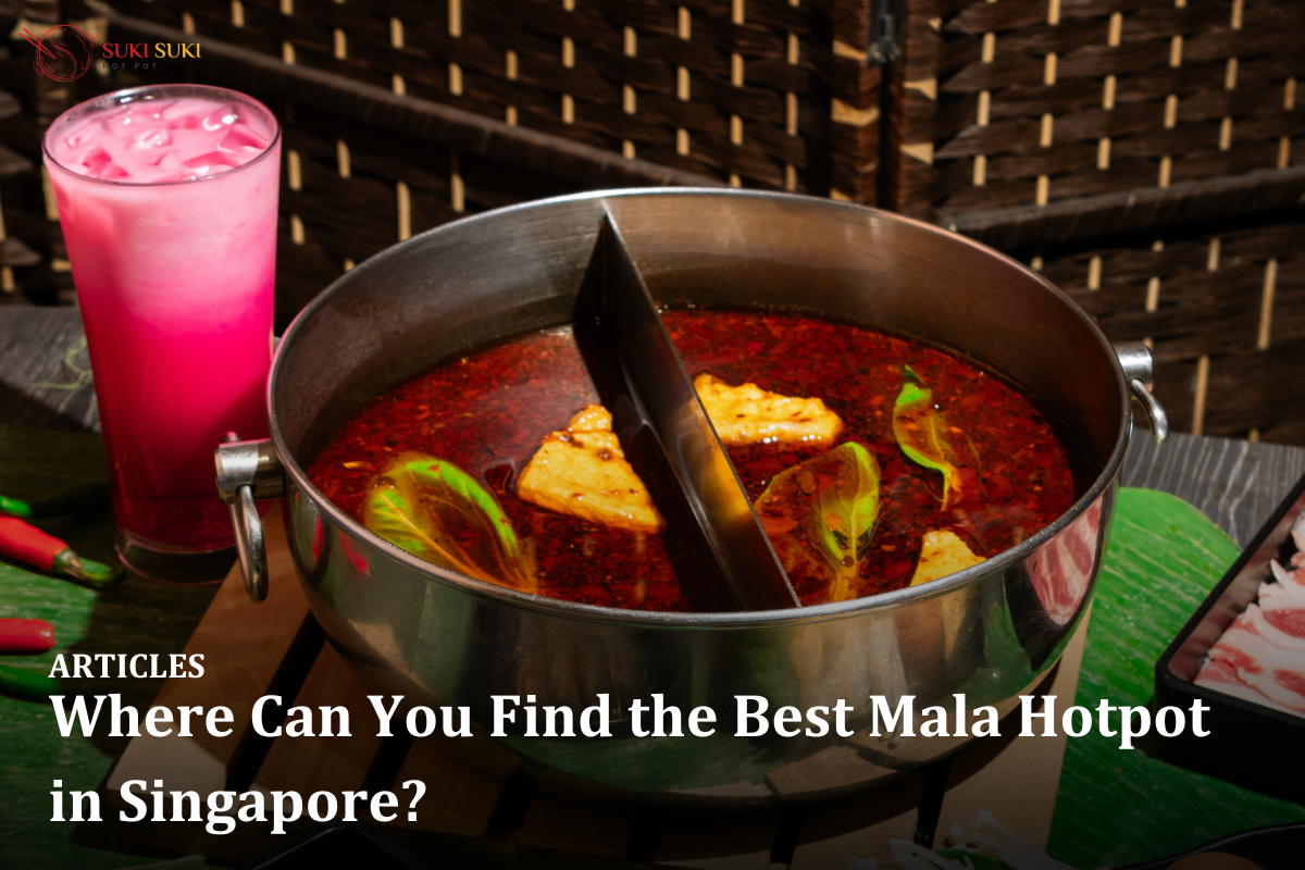 Where Can You Find the Best Mala Hotpot in Singapore?
