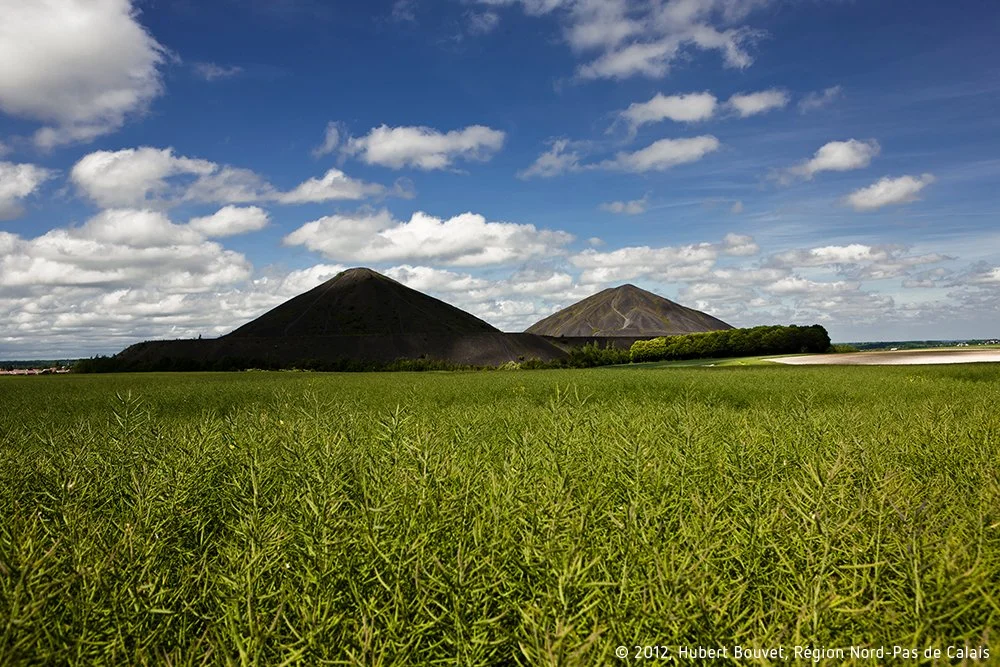 ESRS E4 FAQ: Biodiversity and Ecosystems Reporting Guide