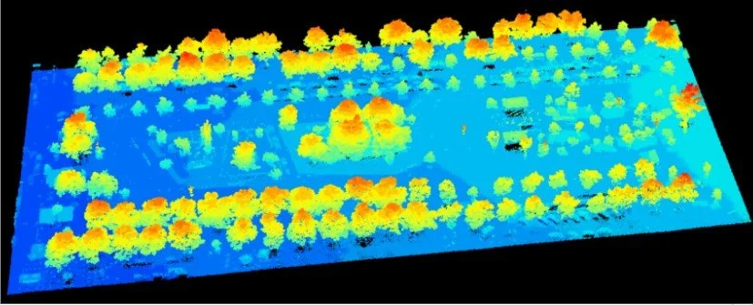 Forest Inventory with LiDAR — Natural solutions