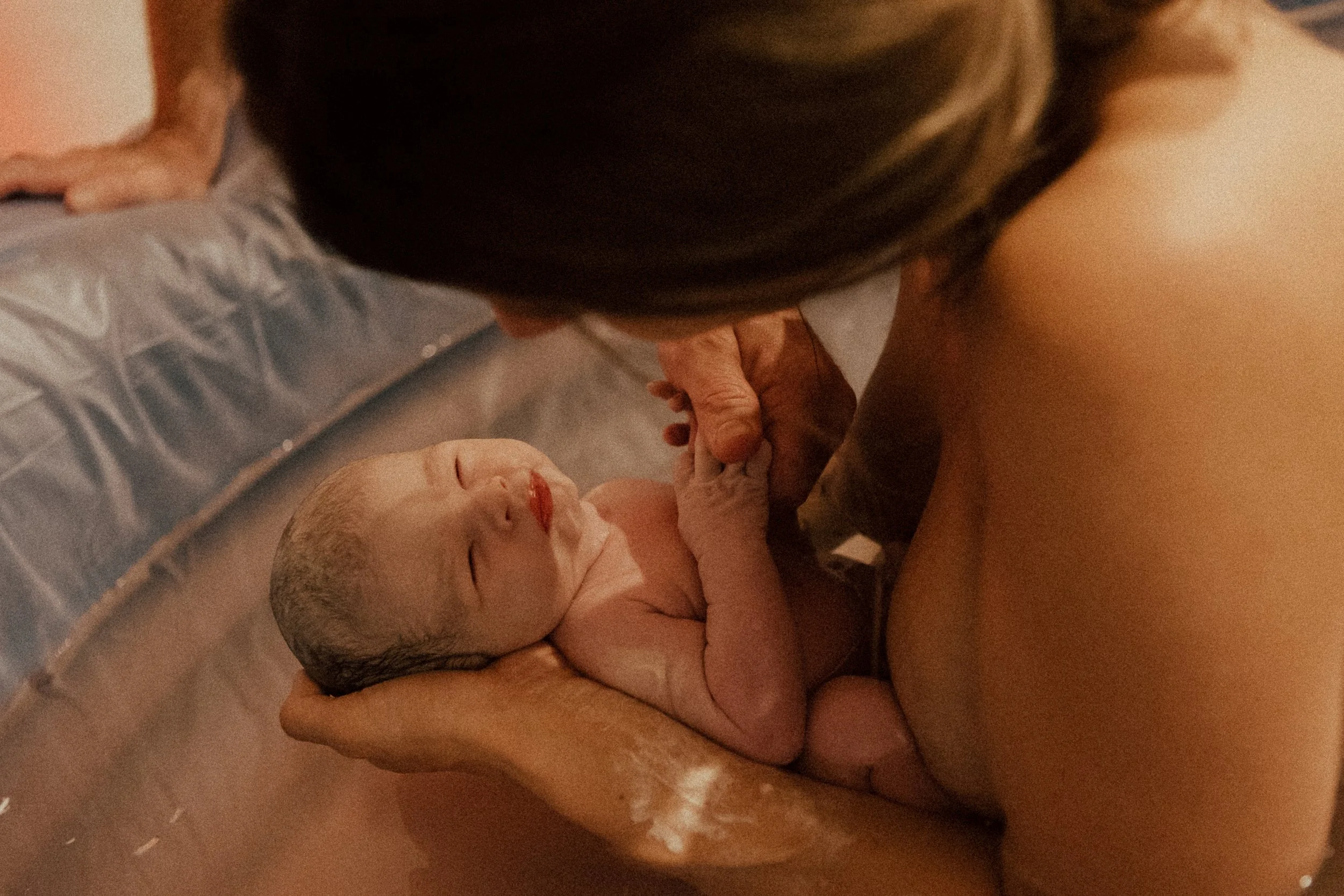 COVE 3 DAYS OLD -34.JPG