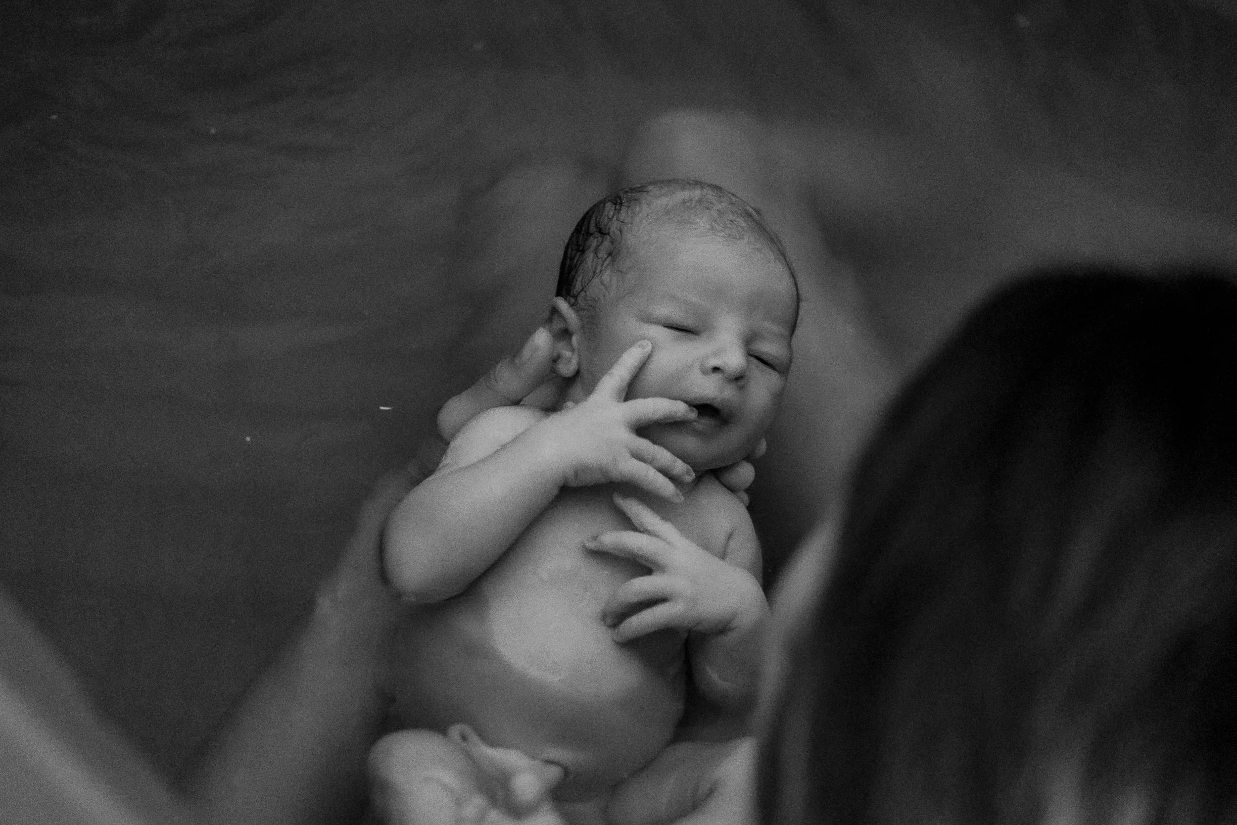 COVE 3 DAYS OLD -63.JPG