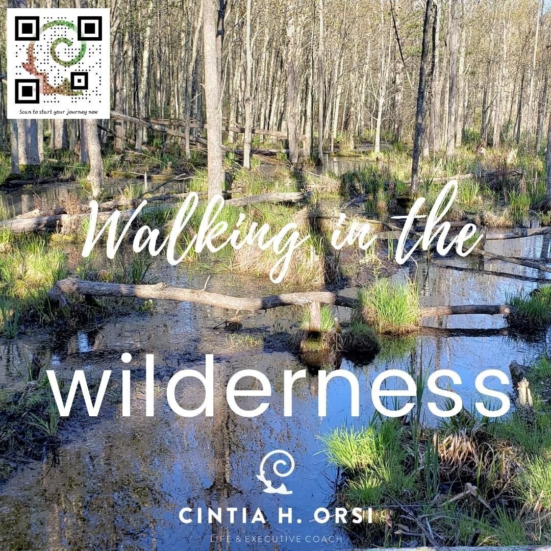 A walk into the unknown. What wonders could arise?

__________________________________
#cintiaorsicoach #lifecoaching #executivecoaching #teamcoaching #thriveinlife #thriveatwork #fullybeingwithterrariummaking #learningcreatingconnecting #thrivewhile