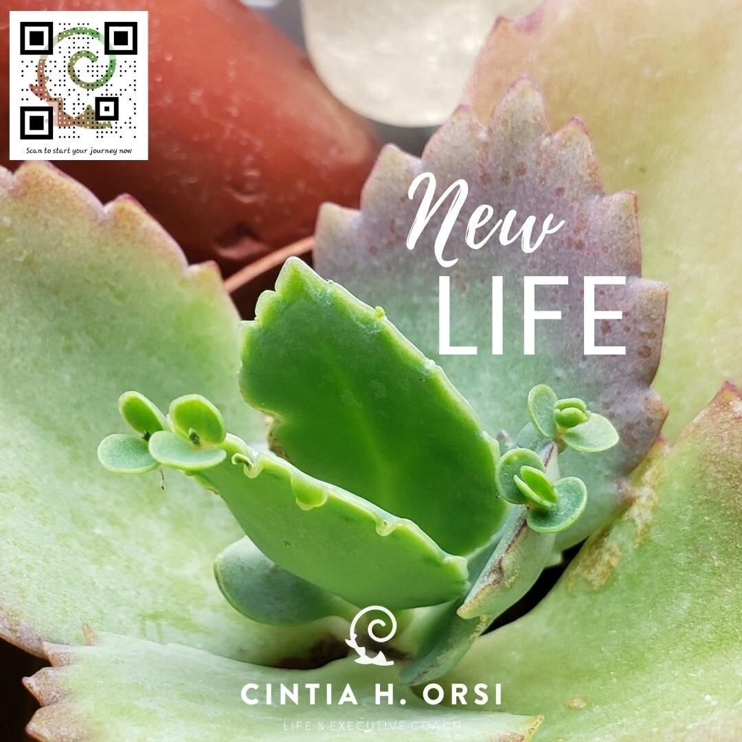 Ready for a New Life?

__________________________________
#cintiaorsicoach #lifecoaching #executivecoaching #teamcoaching #thriveinlife #thriveatwork #fullybeingwithterrariummaking #learningcreatingconnecting #thrivewhileservingothers