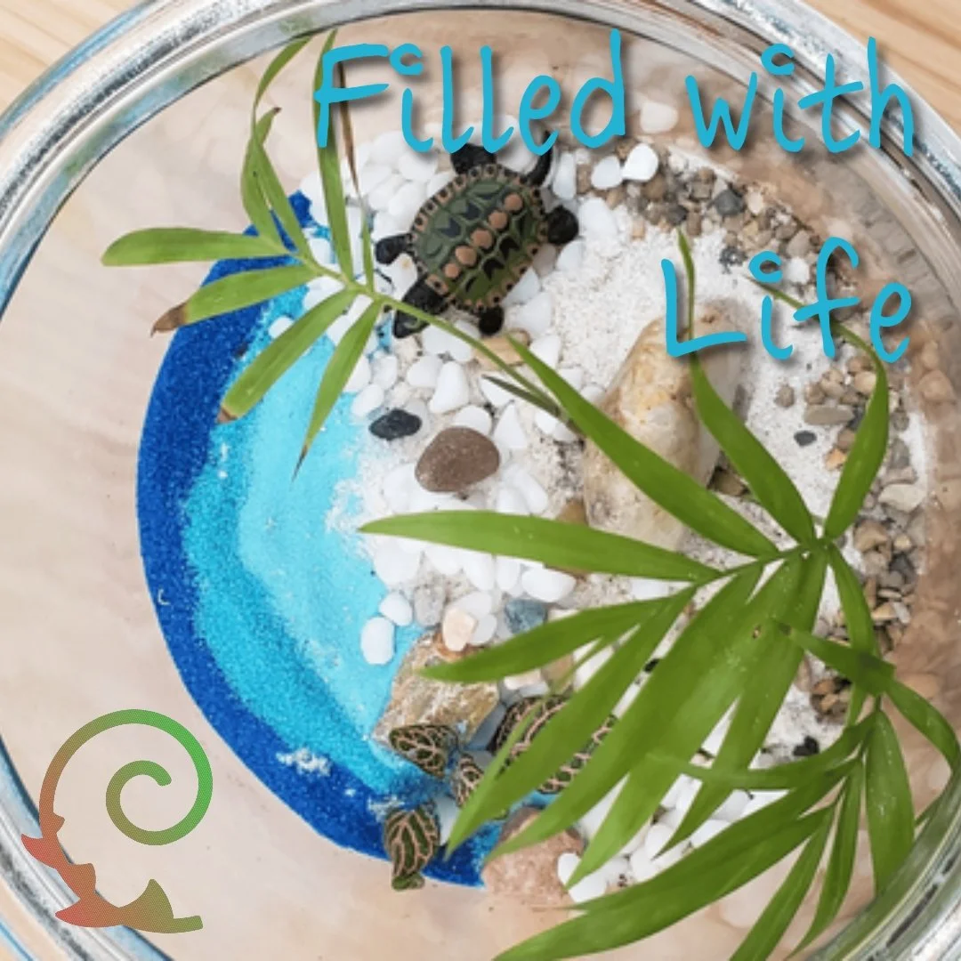 - Extracted from Weekly Wonder by Ci of Apr 9 2022 -
Subscribe WW at http://www.CintiaOrsi.com

Yes, this is not an empty container! It is a beautiful creation!
It was delightful to hear, &quot;an unforgettable learning and bonding experience&quot;, 