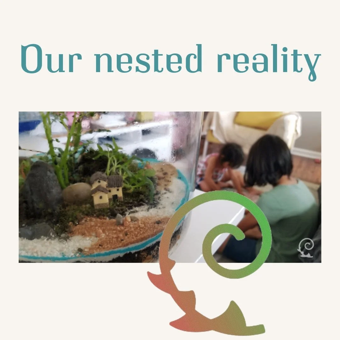 This week, I am expressing my gratitude to the smallness. The acknowledgment that we are part, a CRITICAL part, of a system that is part of more complex ones. We are small, and that is all part of the wonder.
(...)
As we reflect on how we perceive ou
