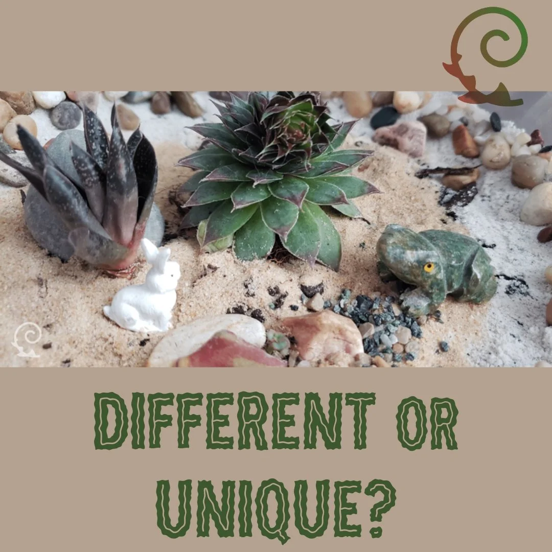DIFFERENT OR UNIQUE?
(...)
I use the word unique when it does not make sense to compare. It has a purpose and is not placed in the margins (although it could be), but it is an integral part of the mainstream.
It makes me think about the impact of th