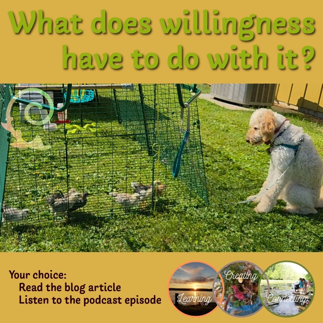 Sometimes, the world wants us to believe that we should only engage when we feel happy or intentional. Is that really so? I challenge that all the time. (...) Your mindset and attitude in that particular situation and afterward will have a significan