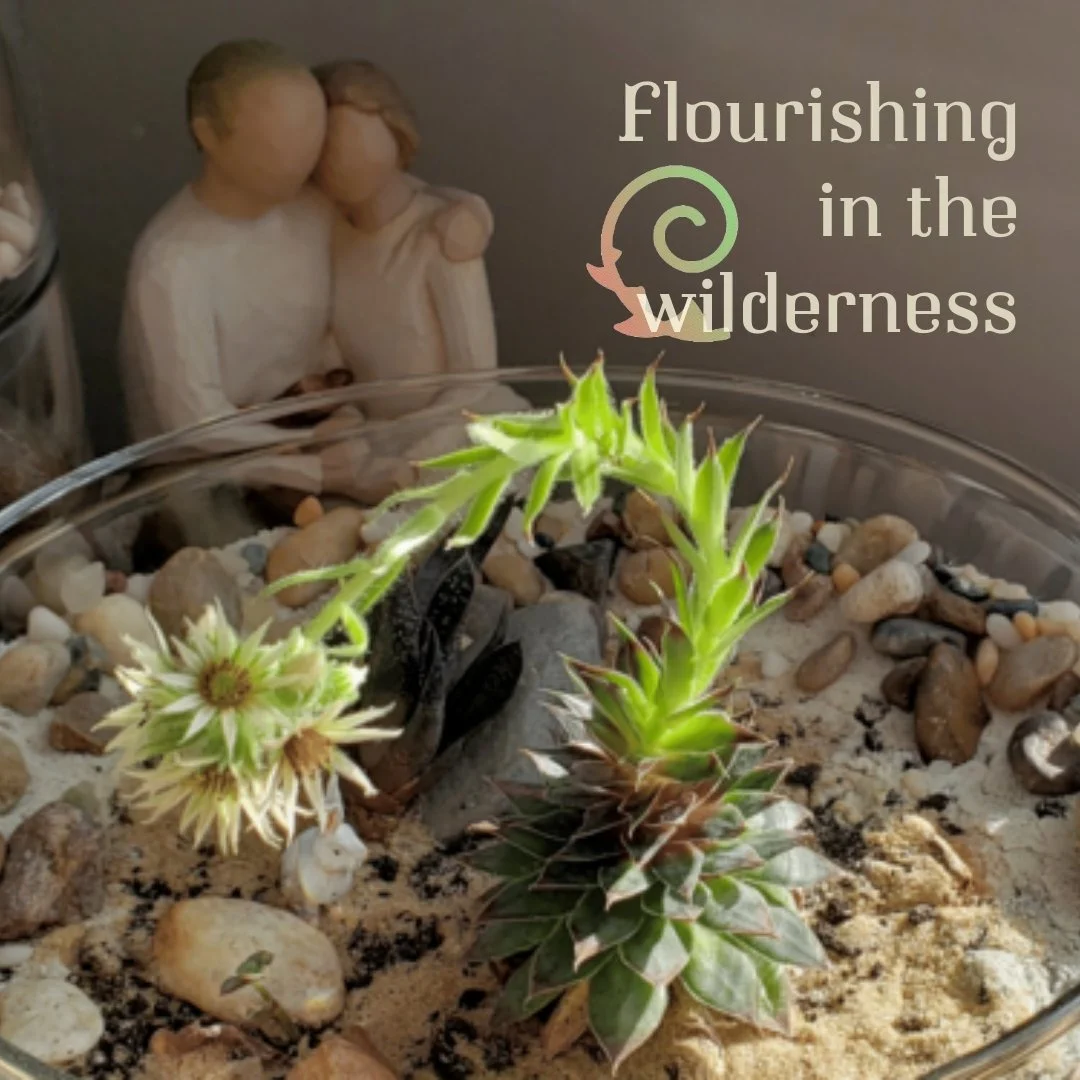 Snow, winter, plant, blooming, outside, inside...

(...)
I am grateful for being present and not missing this beautiful blossoming! Knowing that it shall also pass makes this moment very special indeed!

Would you permit yourself to seize fleeting mo