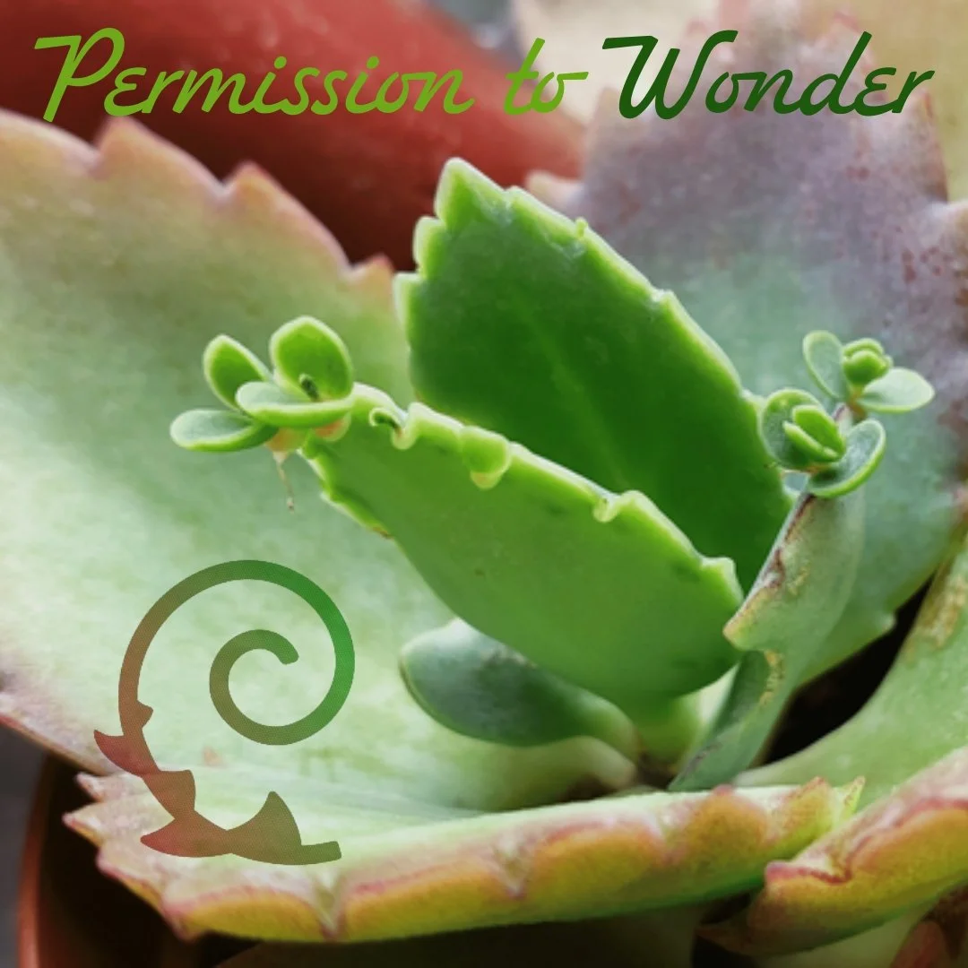 Conversation with my kids (2022):
Where do babies plant come from?
"from the dirt!" - we saw some tulips sprouting the other day.
"from the seeds we plant!" - we sowed collard greens the other day.
How about this one (showing the 