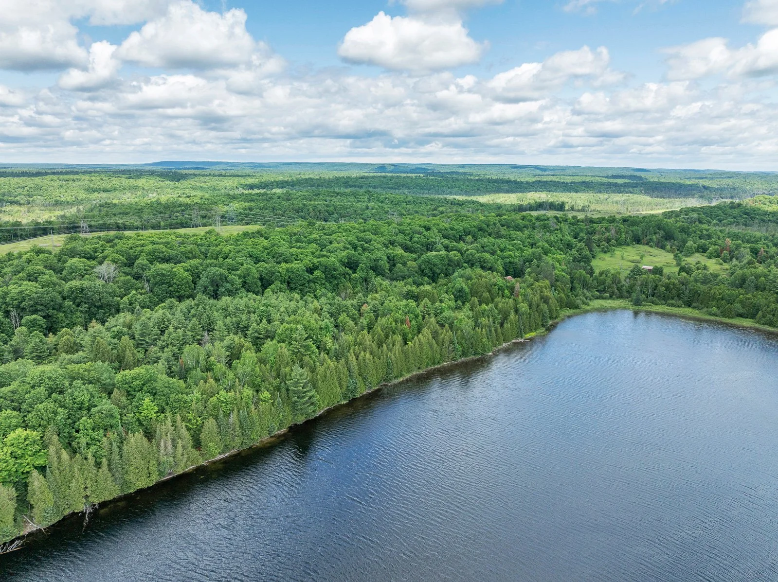 1084CSwaugersLakeRd_MLS-4.jpg