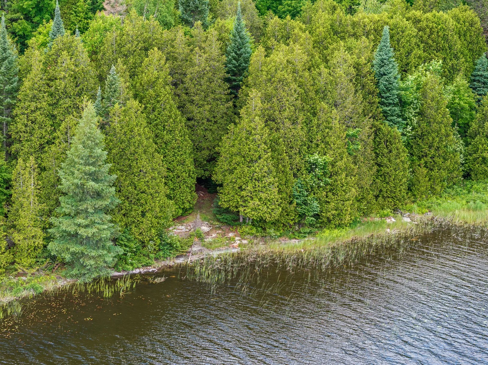 1084CSwaugersLakeRd_MLS-28.jpg