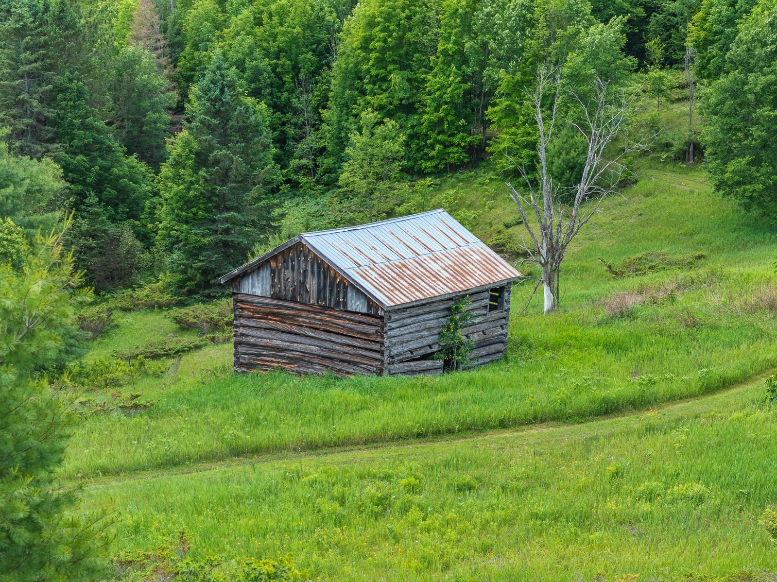 1084CSwaugersLakeRd_MLS-41.jpg