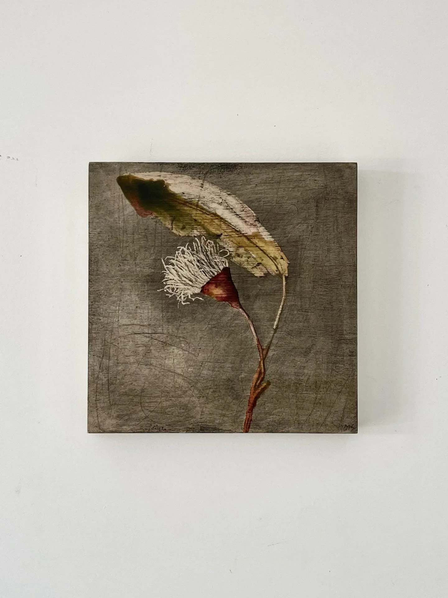 The inspiration behind this piece, a tiny flowering gum nut found by a friend who let me keep it when I fell in love with it. Absolutely love drawing these foraged morsels and so this tiny gum nut lives on. 

Scroll through to see it hanging in its n