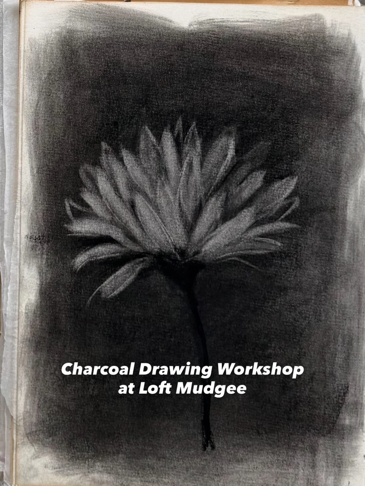 I&rsquo;m running a charcoal drawing workshop @loftmudgee as part of their Art Month. Join me and discover the expressive velvety joy of this super versatile medium.  No drawing experience needed. 

I&rsquo;ll teach you some tips and tricks to workin