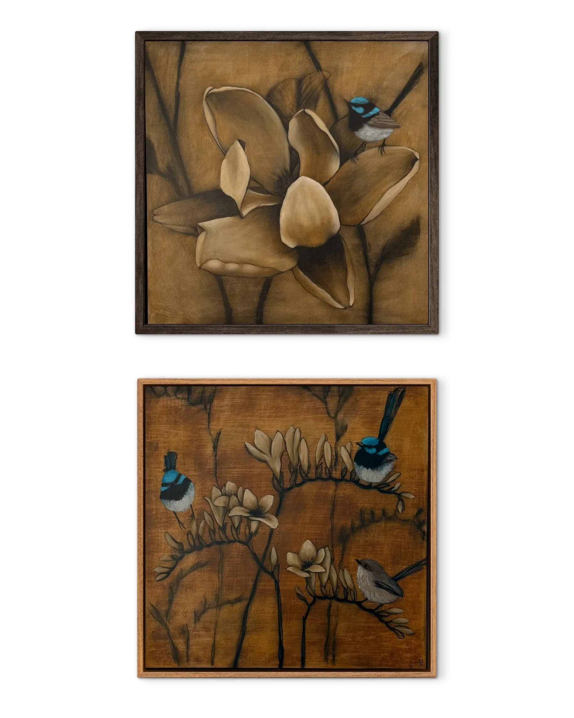 &ldquo;If not now, then Wren&rdquo; opens this Friday 2nd October @loftmudgee 

A group exhibition to raise awareness for the Fairy Wren, that are facing extinction in our lifetime due to habitat loss, by reminding us all how beautiful they are. I ca