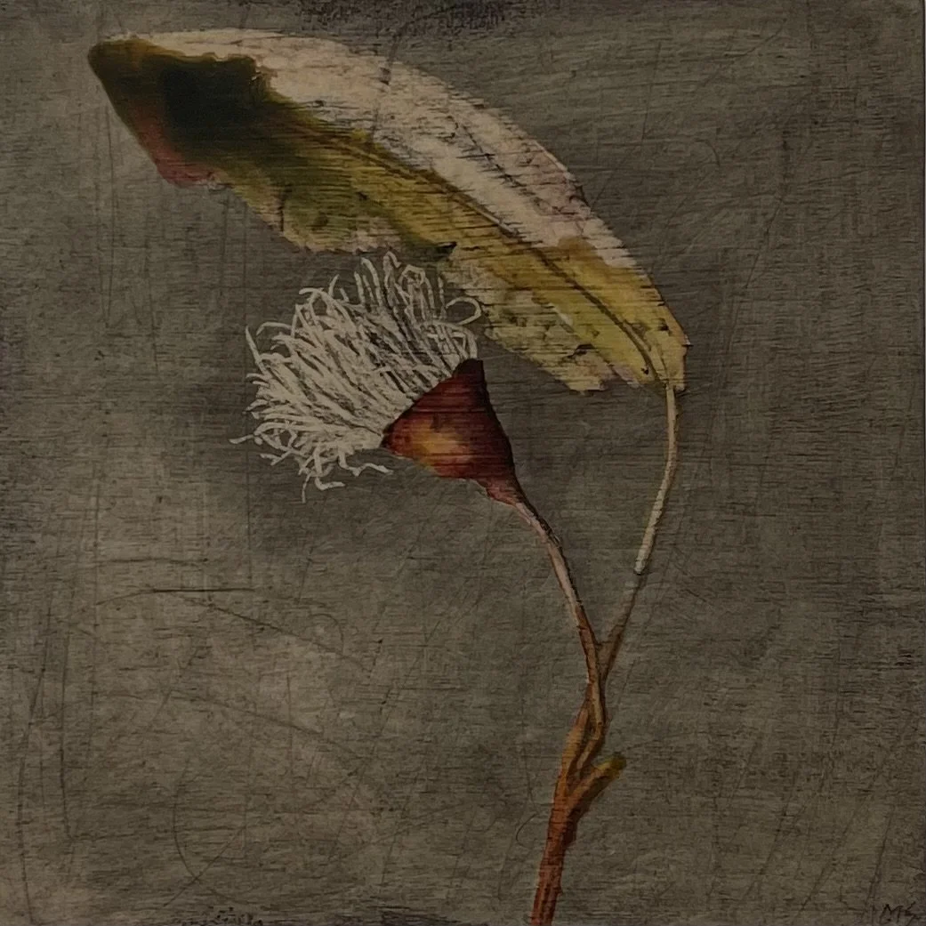 Found, 20cm x 20cm