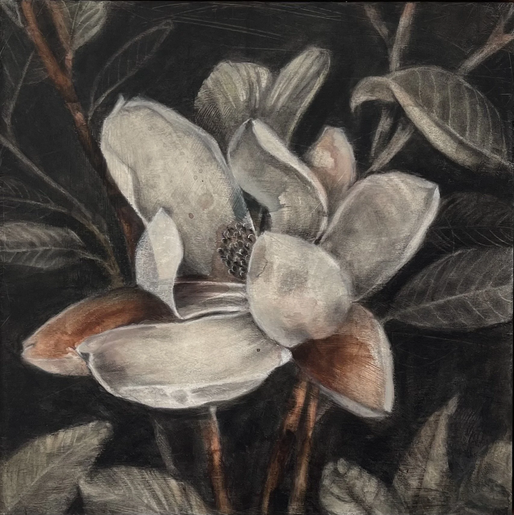 Magnolia in Bloom, 34cm x 34cm