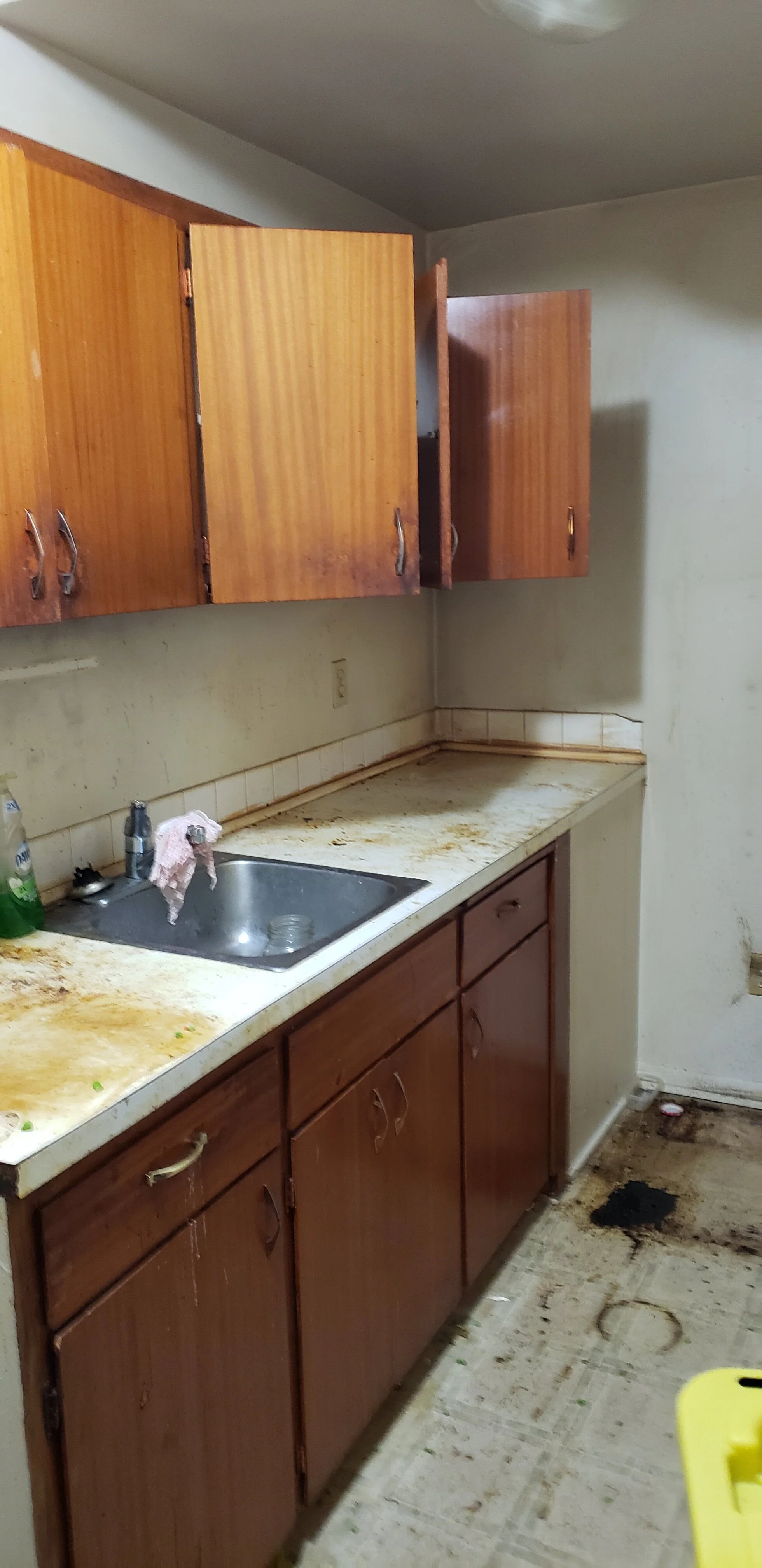 alt="Eco-friendly products used for kitchen cleaning in Saskatoon home"