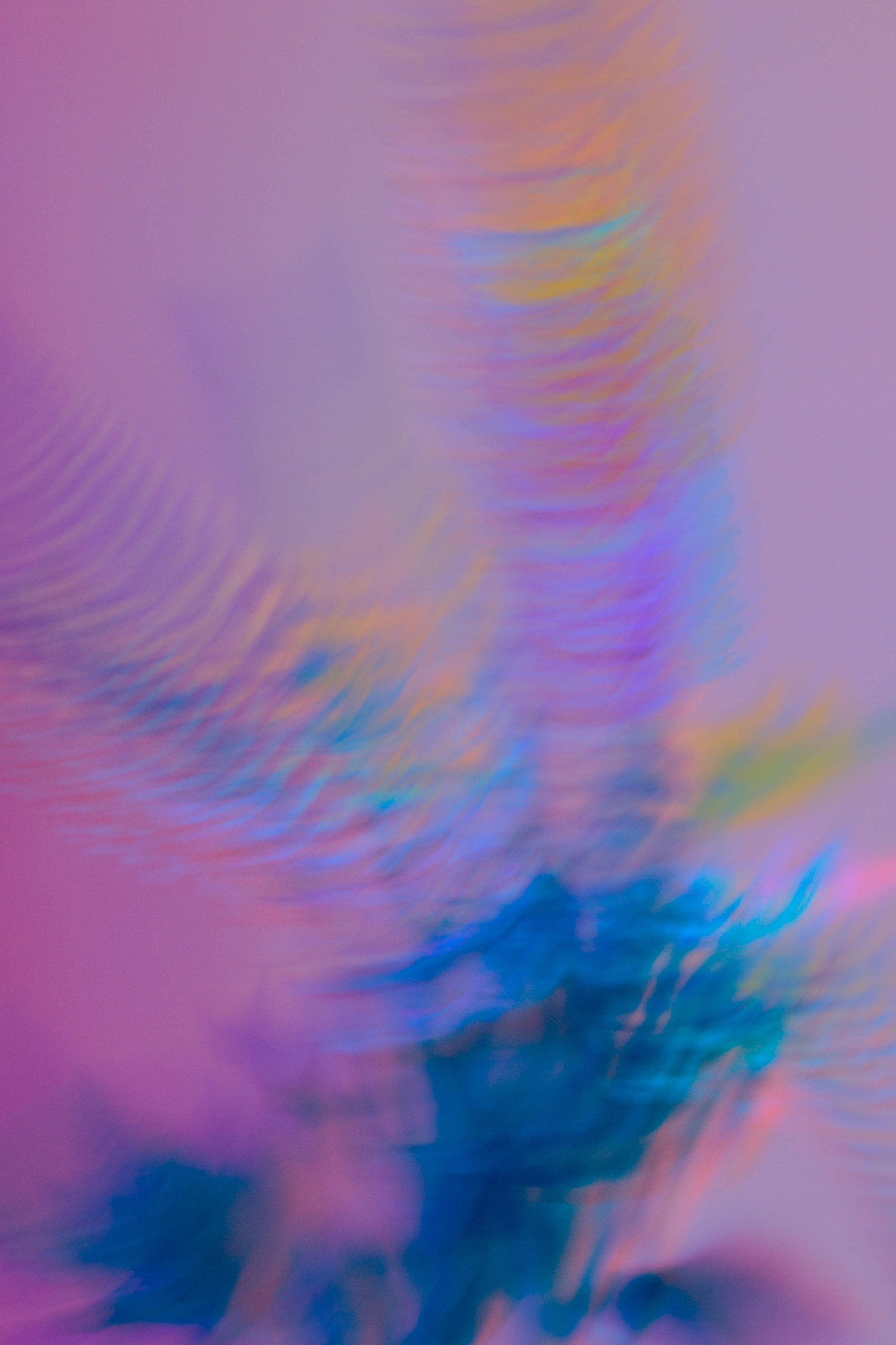 2TaraOhehir-flourish_B5A2796-Edit.jpg