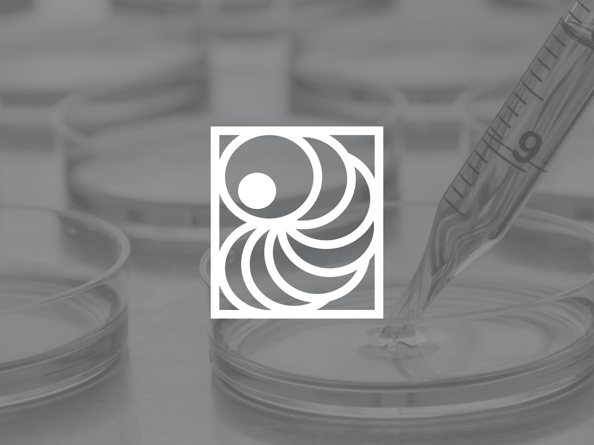 The ISSCR and JSRM Host "Stem Cells: From Basic Science to Clinical Translation" on 27-29 October