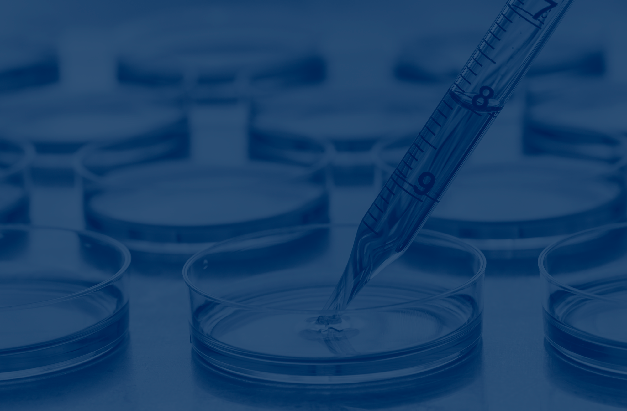 Cold Spring Harbor Lab Conference: Bioengineered Tissue Systems & Models