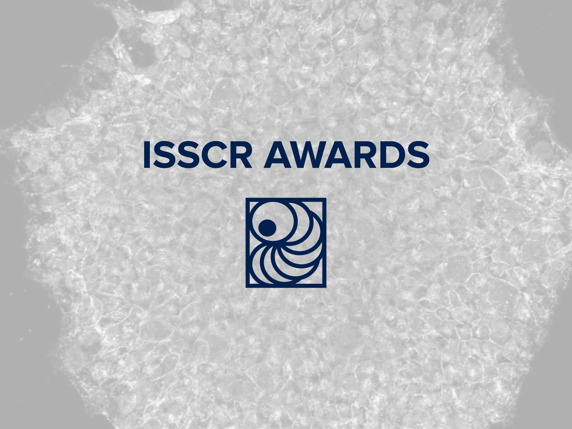The ISSCR Announces 2025 Award Recipients