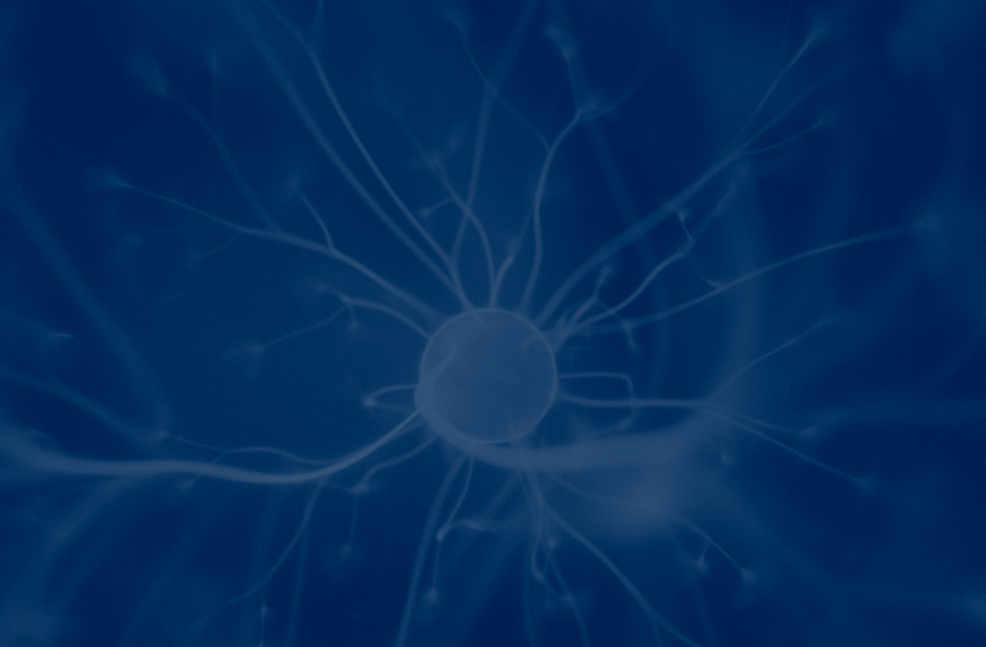 Human Nervous System Models to Accelerate Clinical Translation