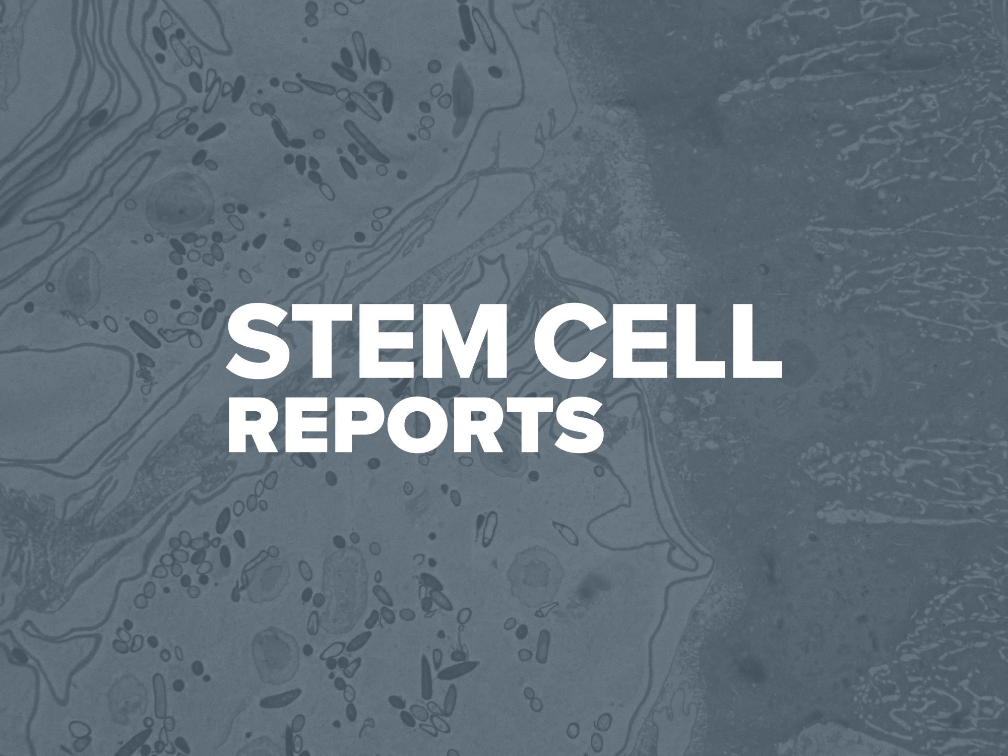 Stem Cell Reports Seeks Early Career Editors to Join the Editorial Board